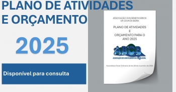 Plano de Atividades e Orçamento 2025