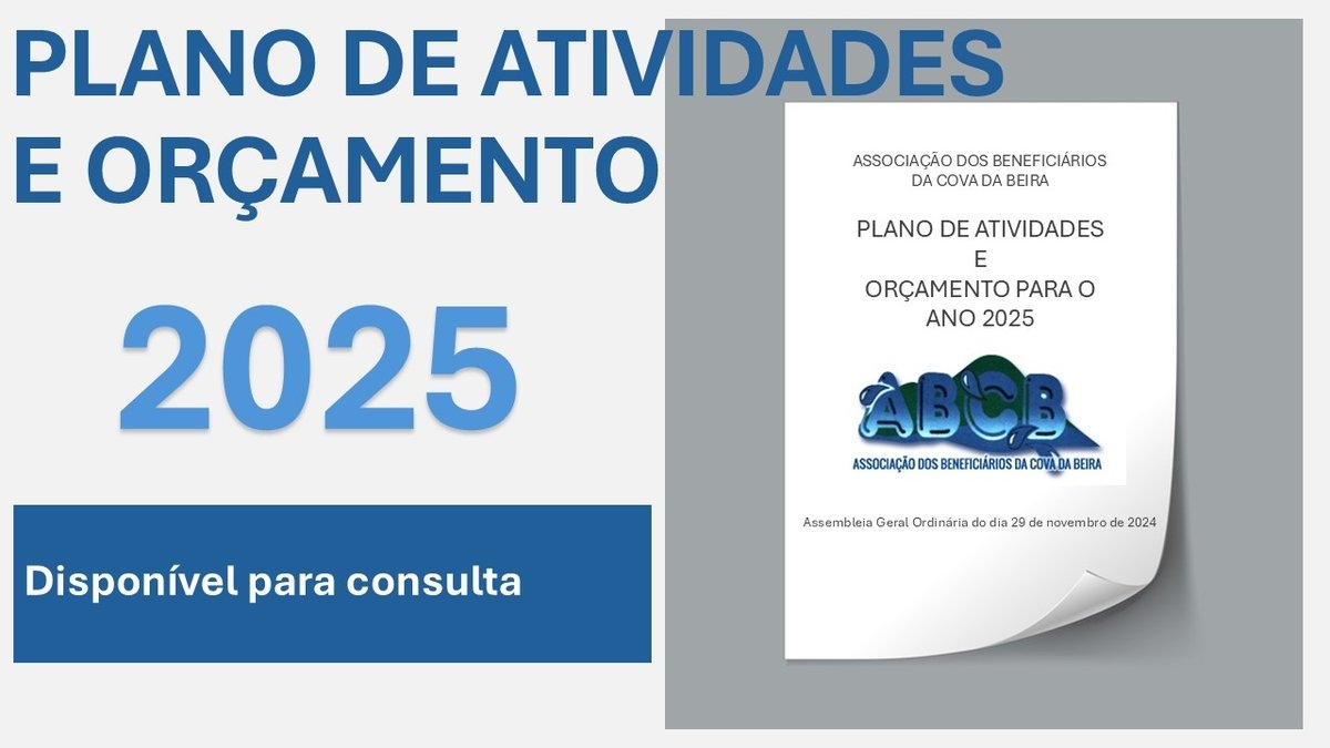 Plano de Atividades e Oramento 2025